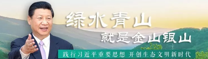 1533706171583.png 習近平.png