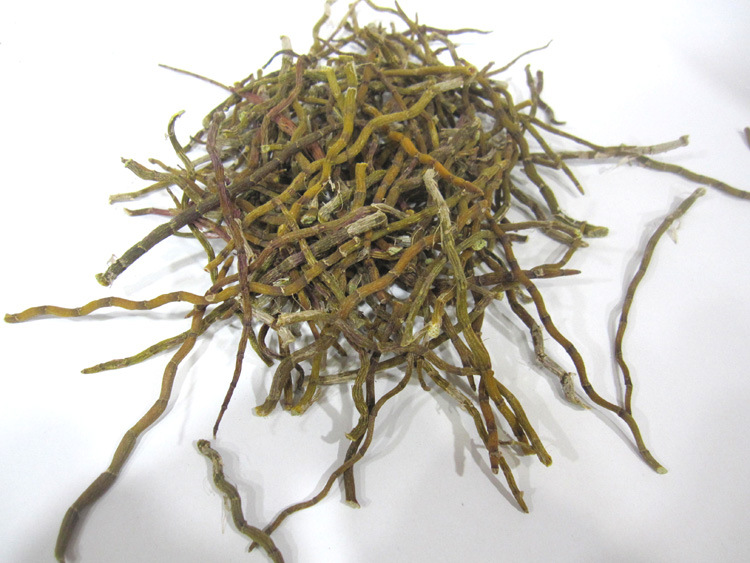 鐵皮干條楓斗石斛烤條 打粉實惠價格低基地直銷