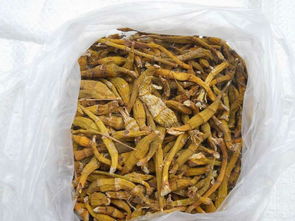 一呼百應公司頻道