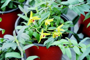 濱州 齊魯晚報生活館 開張了