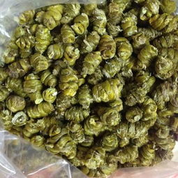 如何辨認鐵皮石斛與鐵皮楓斗