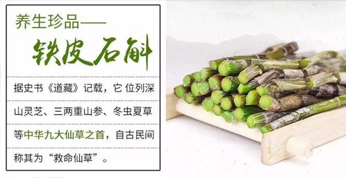 森山福袋來啦！2018好運等你領取，鐵皮楓斗助您健康啟程