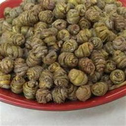 鐵皮石斛 正宗云南精鐵鐵皮石斛楓斗，自然饋贈的健康瑰寶