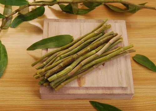 鐵皮石斛（鐵皮楓斗） 功效、經典搭配與養生吃法全解析